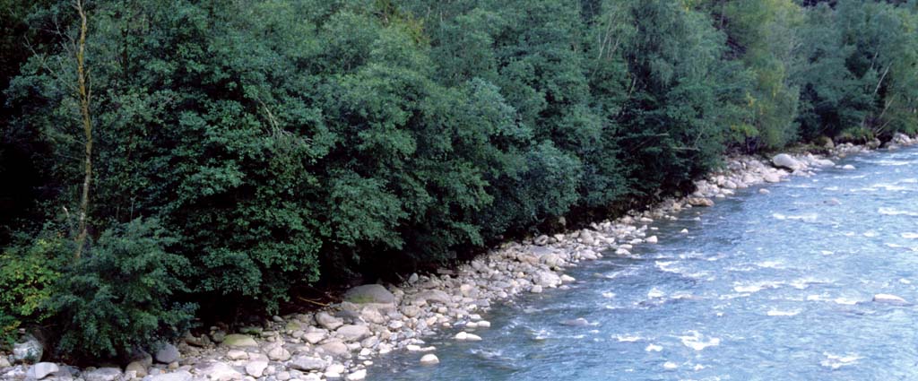 Auengebiet «Bilderne»