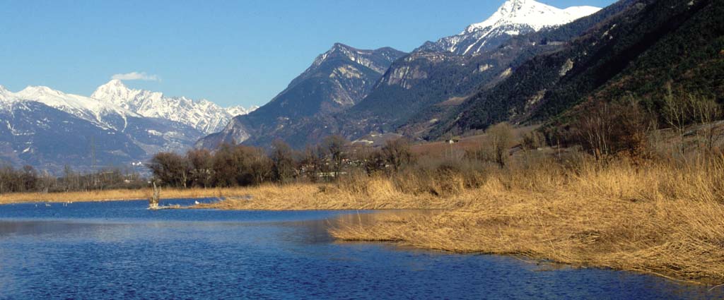 Pouta Fontana