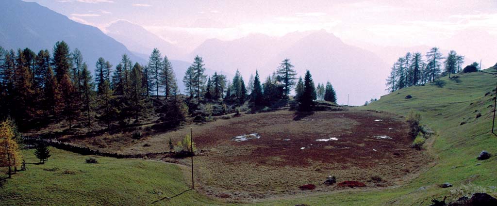 Tourbière de Flesch