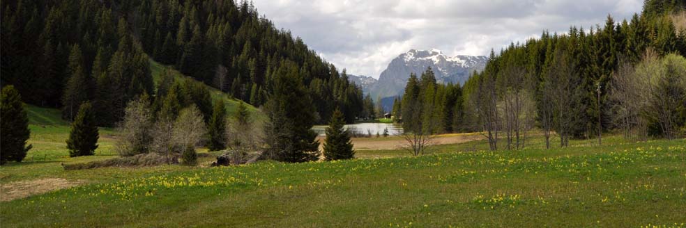 Prairie au bord lac