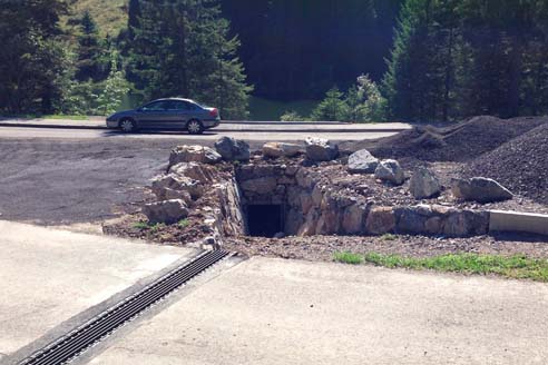 Passage à batracien