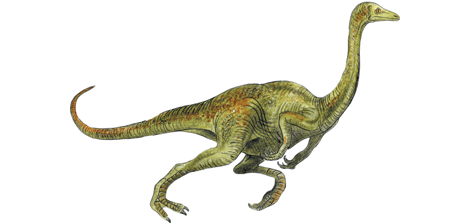 Prototrisauropus