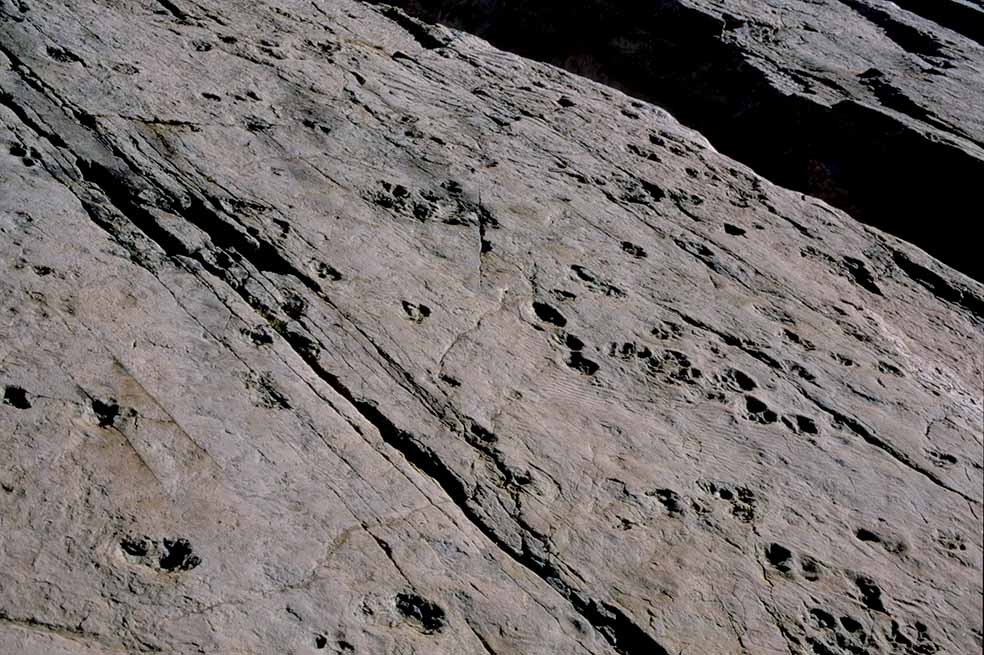 Dinosaurierspuren des Vieux-Emosson