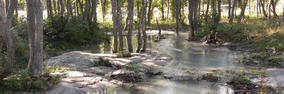 Auengebiet «Bilderne»