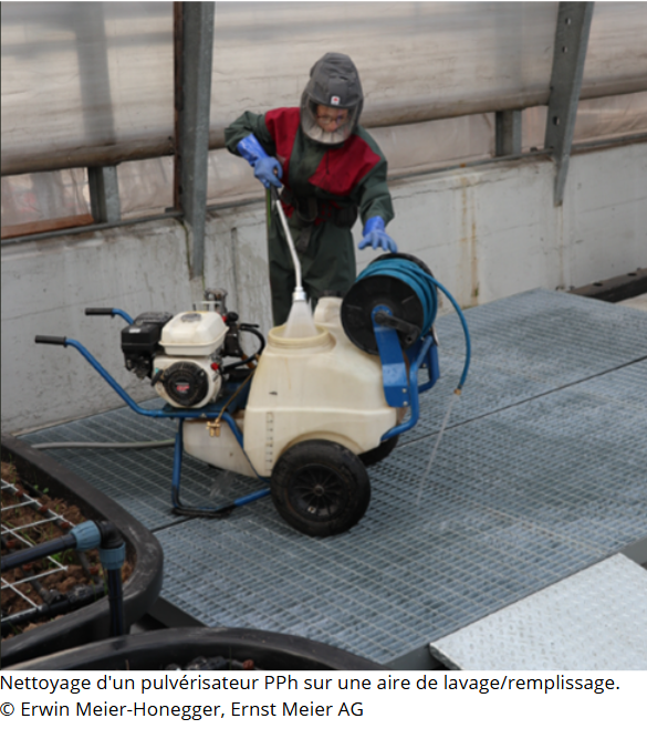 Foo alt-image description