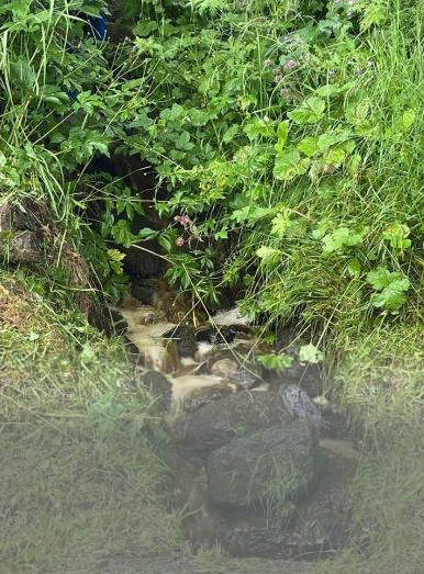 Déversement de purin dans un ruisseau, Naters, 2021 (photo Police municipale de Naters)