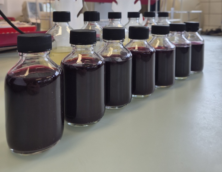 Foo alt-image description