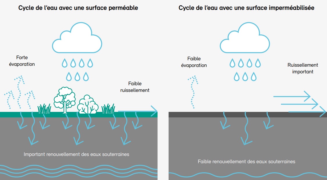 Cycle de l'eau avec une surface perméable et avec une surface imperméabilisée