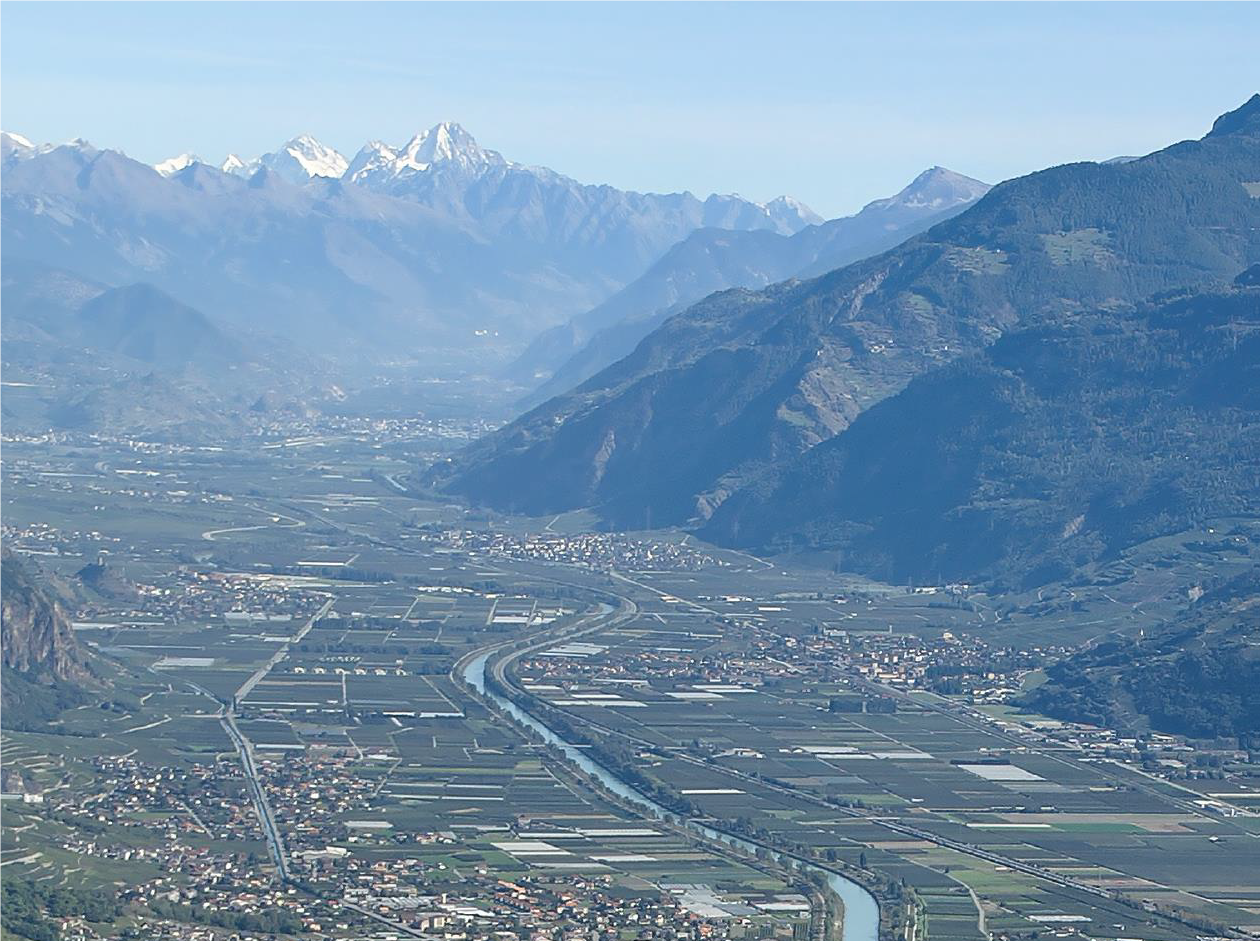 Foo alt-image description