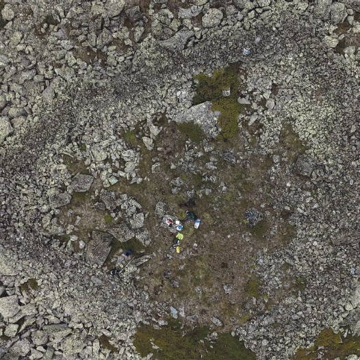 Foo alt-image description