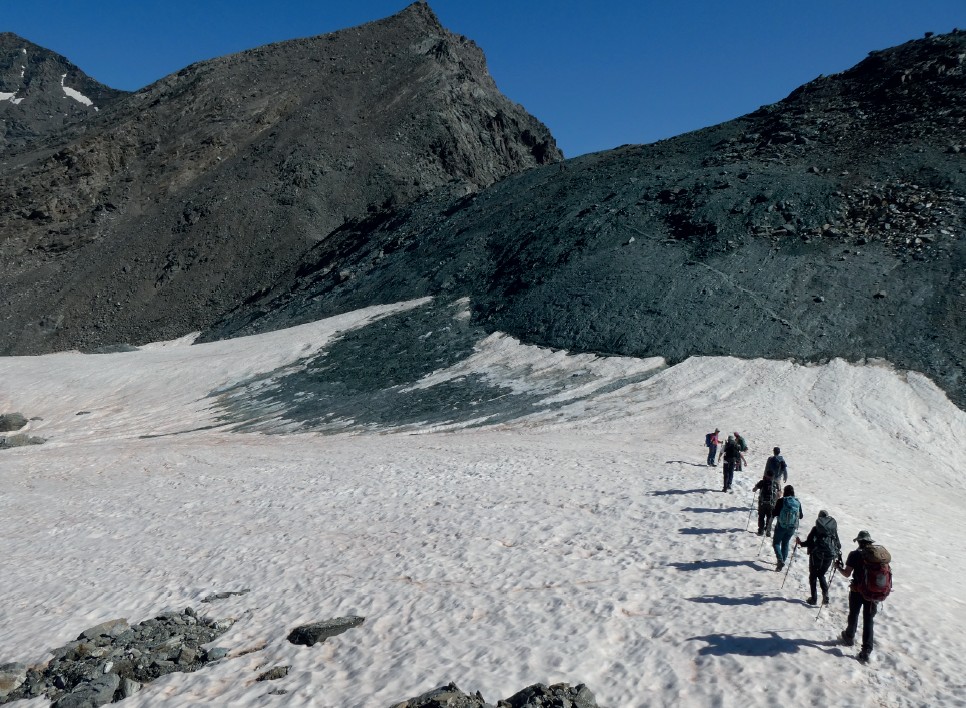 Foo alt-image description