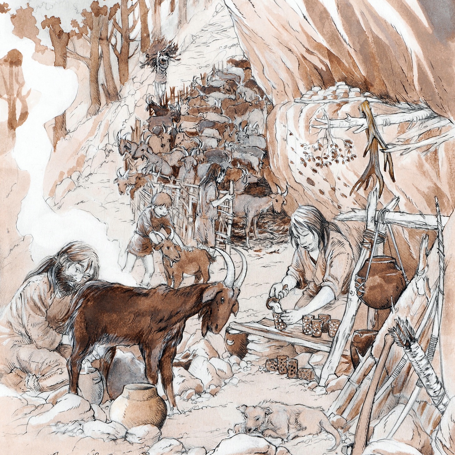 Foo alt-image description