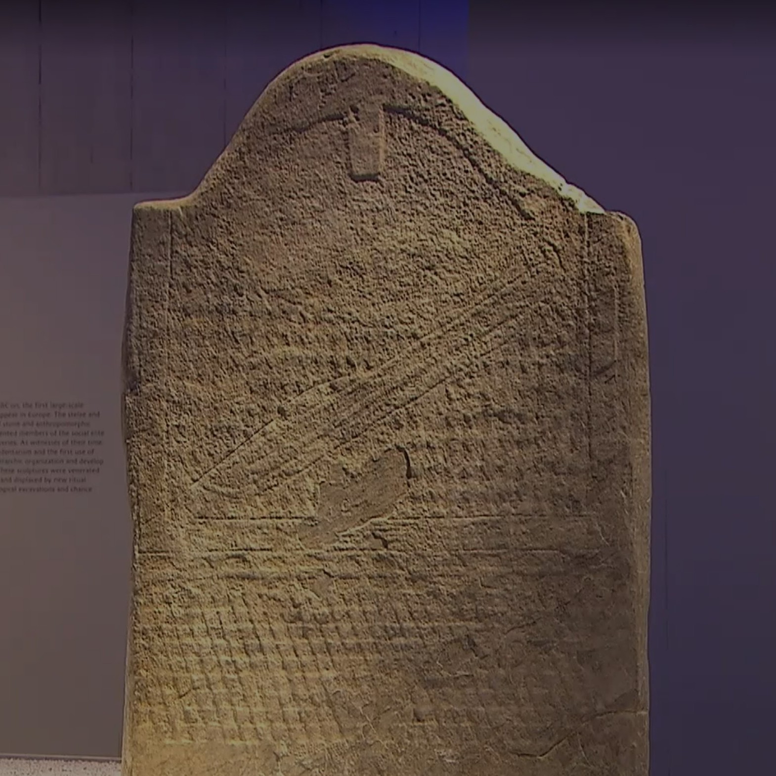 Foo alt-image description