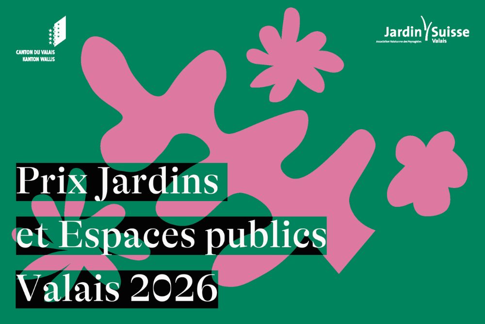 Foo alt-image description