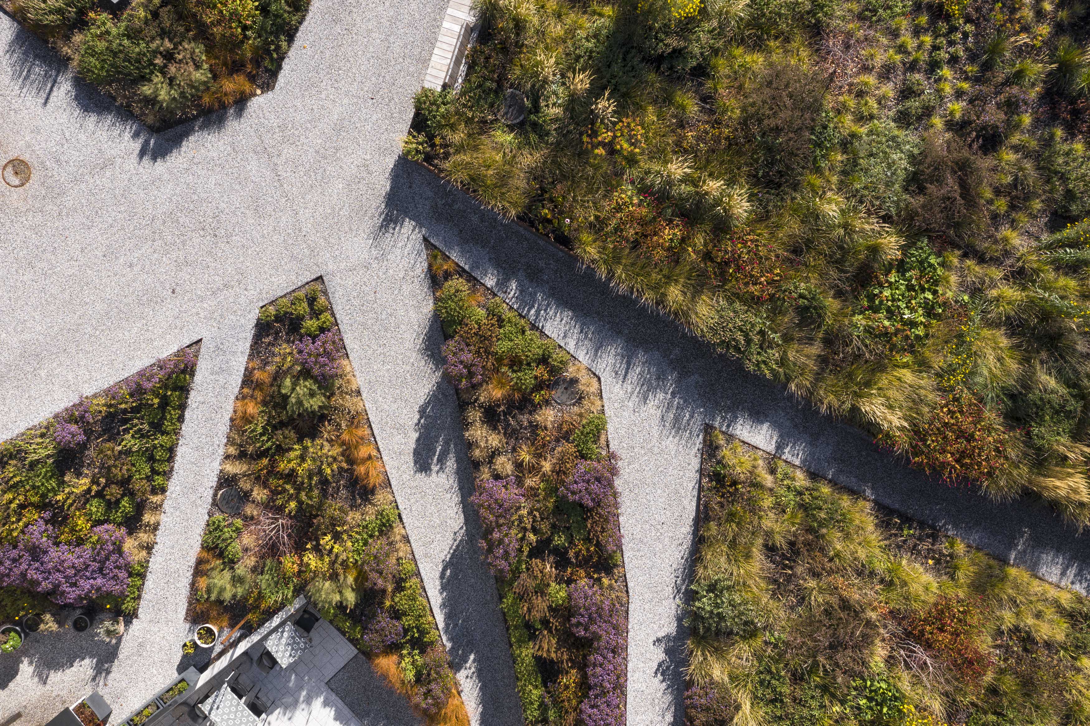 Foo alt-image description