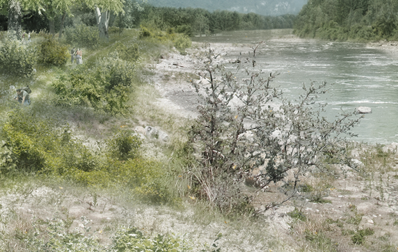 Foo alt-image description