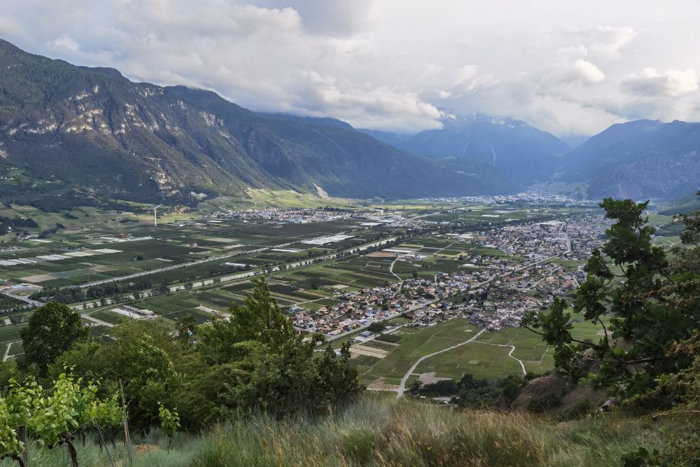 Foo alt-image description