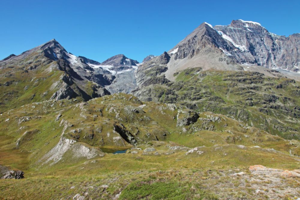 Foo alt-image description