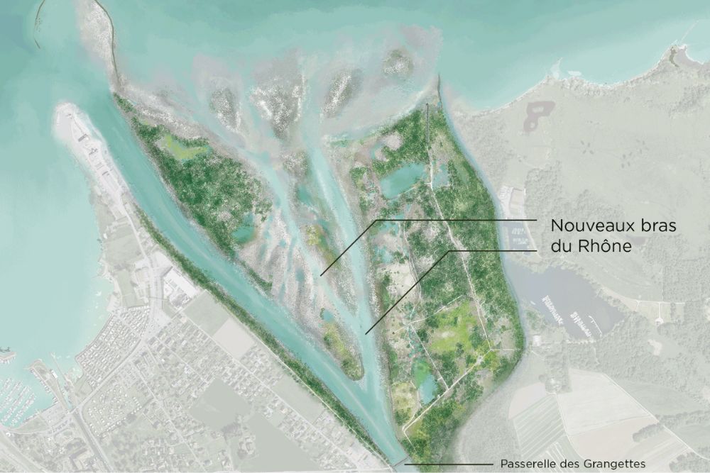 Foo alt-image description