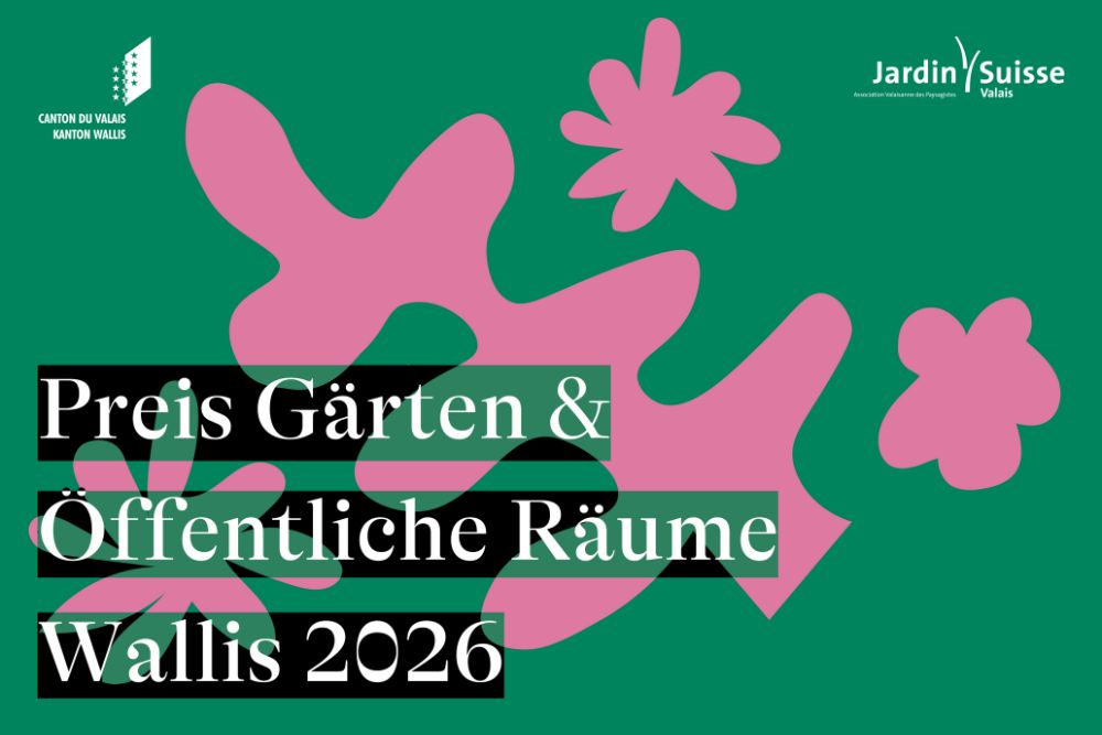 Foo alt-image description