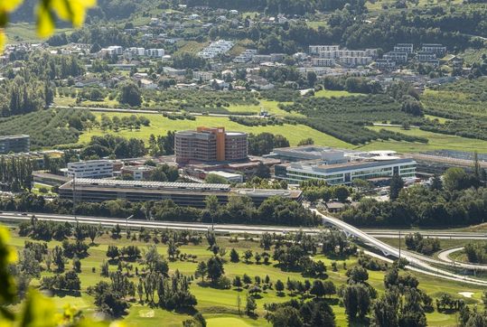 Foo alt-image description