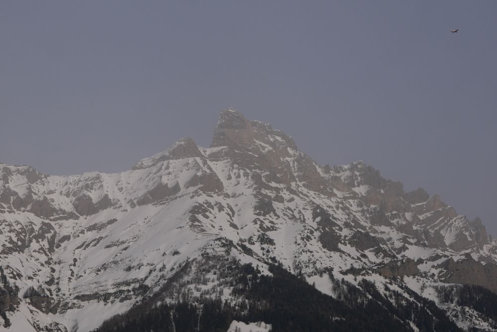 Foo alt-image description