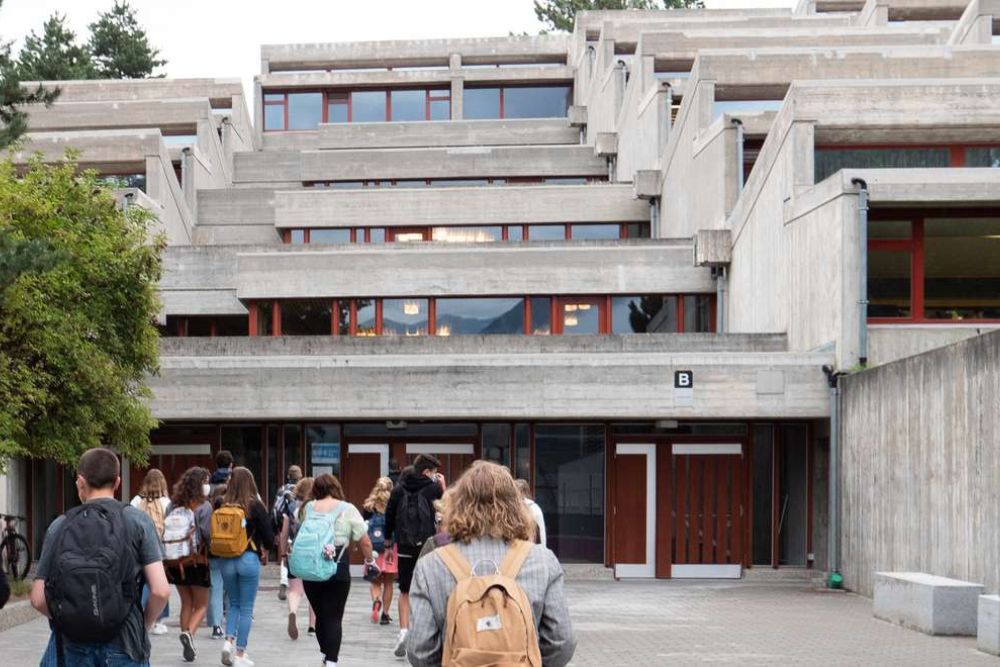 Foo alt-image description