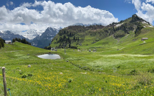 L’Échereuse